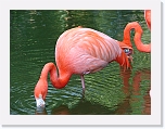 At_the _zoo (11) * 2048 x 1536 * (1.46MB)